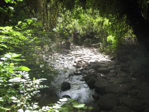 "Garden of Eden" at Dan