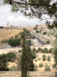 the journey of the cross